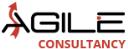 Agile Consultancy logo